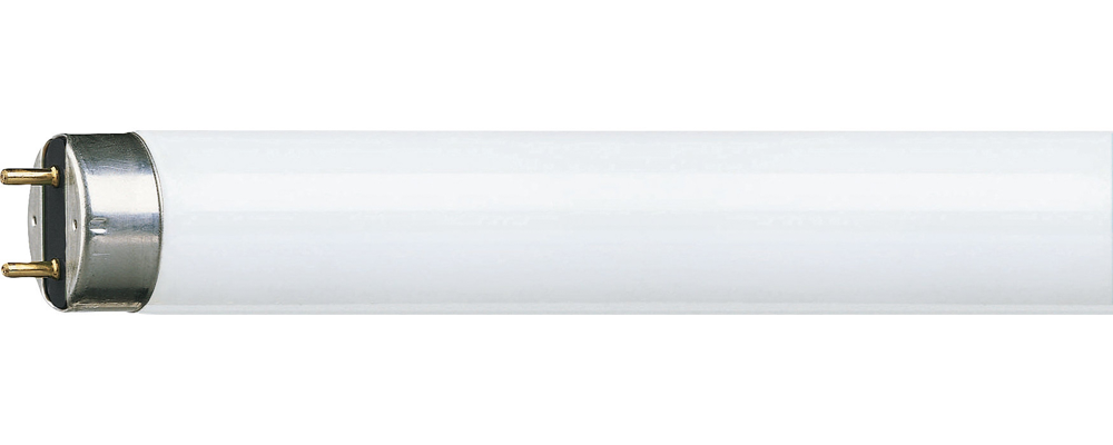 Tub Fluorescent TL-D Super 80 36W 1m