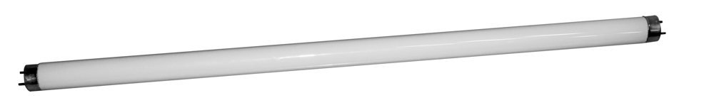 Tub Fluorescent T8 36W 6400K    