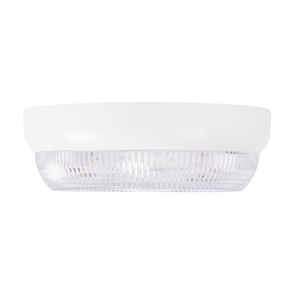 Corp BAT oval prismatic 16W 6500K IP54, Homelight