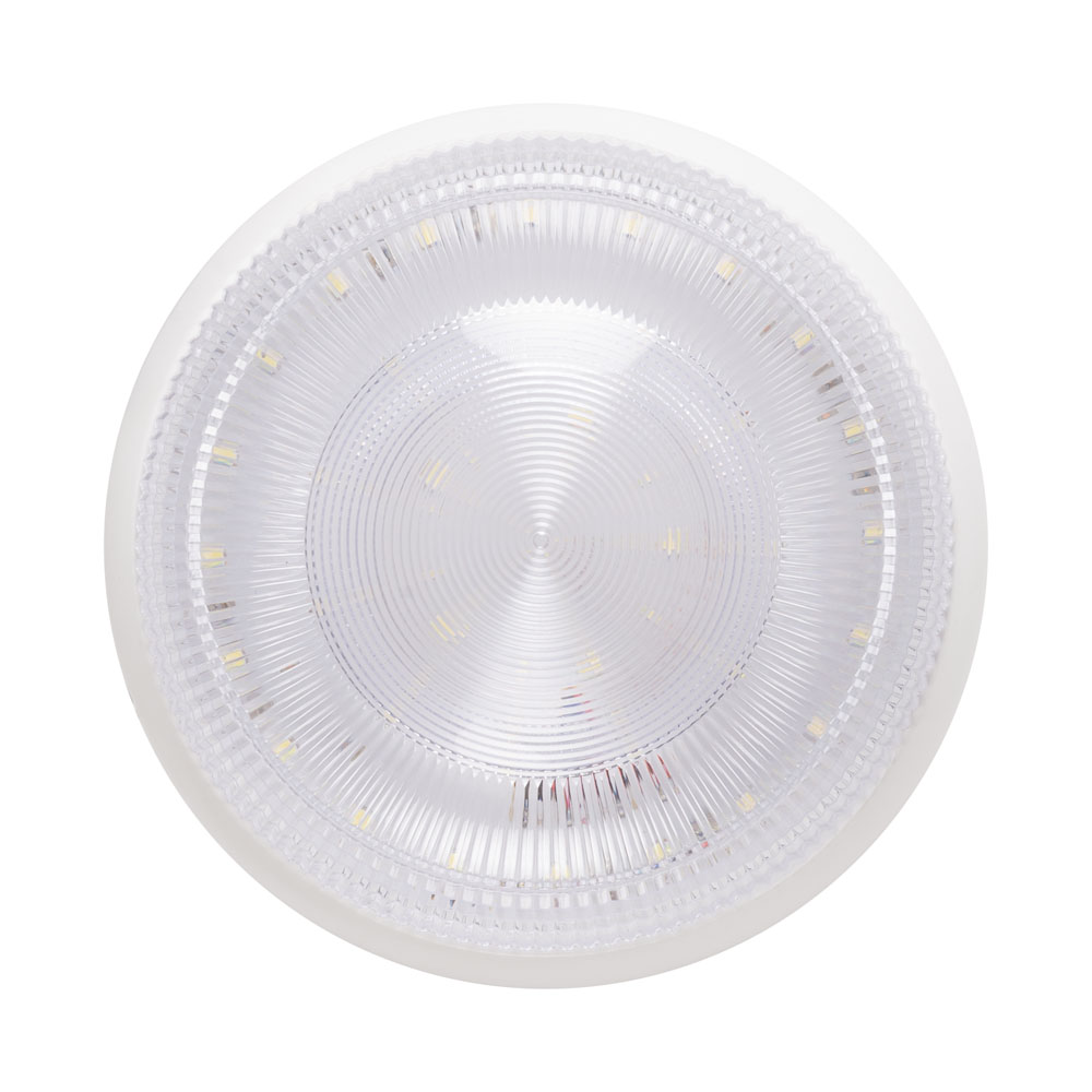 Corp BAT oval prismatic 16W 6500K IP54, Homelight