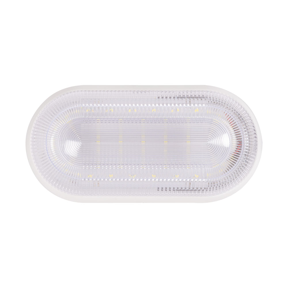 Corp BAT oval prismatic 16W 6500K IP54, Homelight