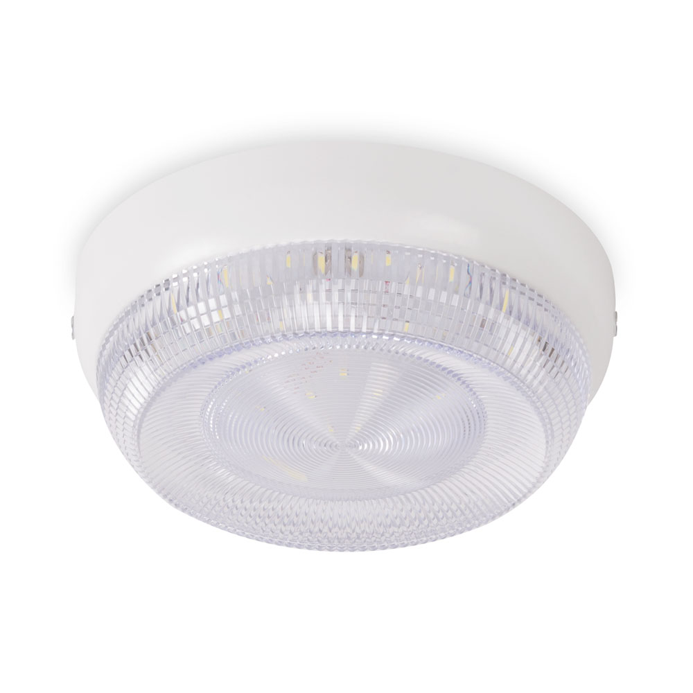 Corp BAT oval prismatic 16W 6500K IP54, Homelight