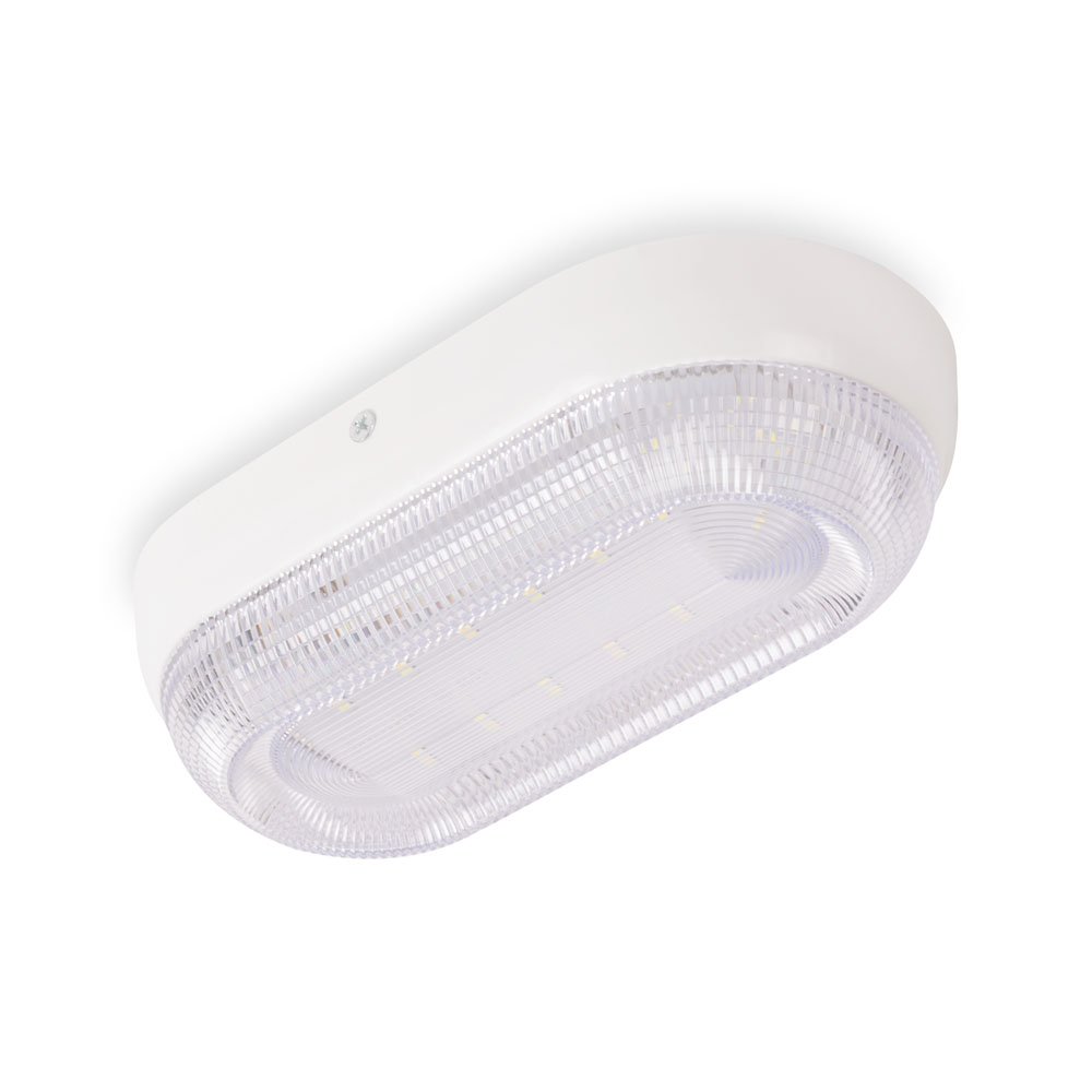 Corp BAT oval prismatic 16W 6500K IP54, Homelight